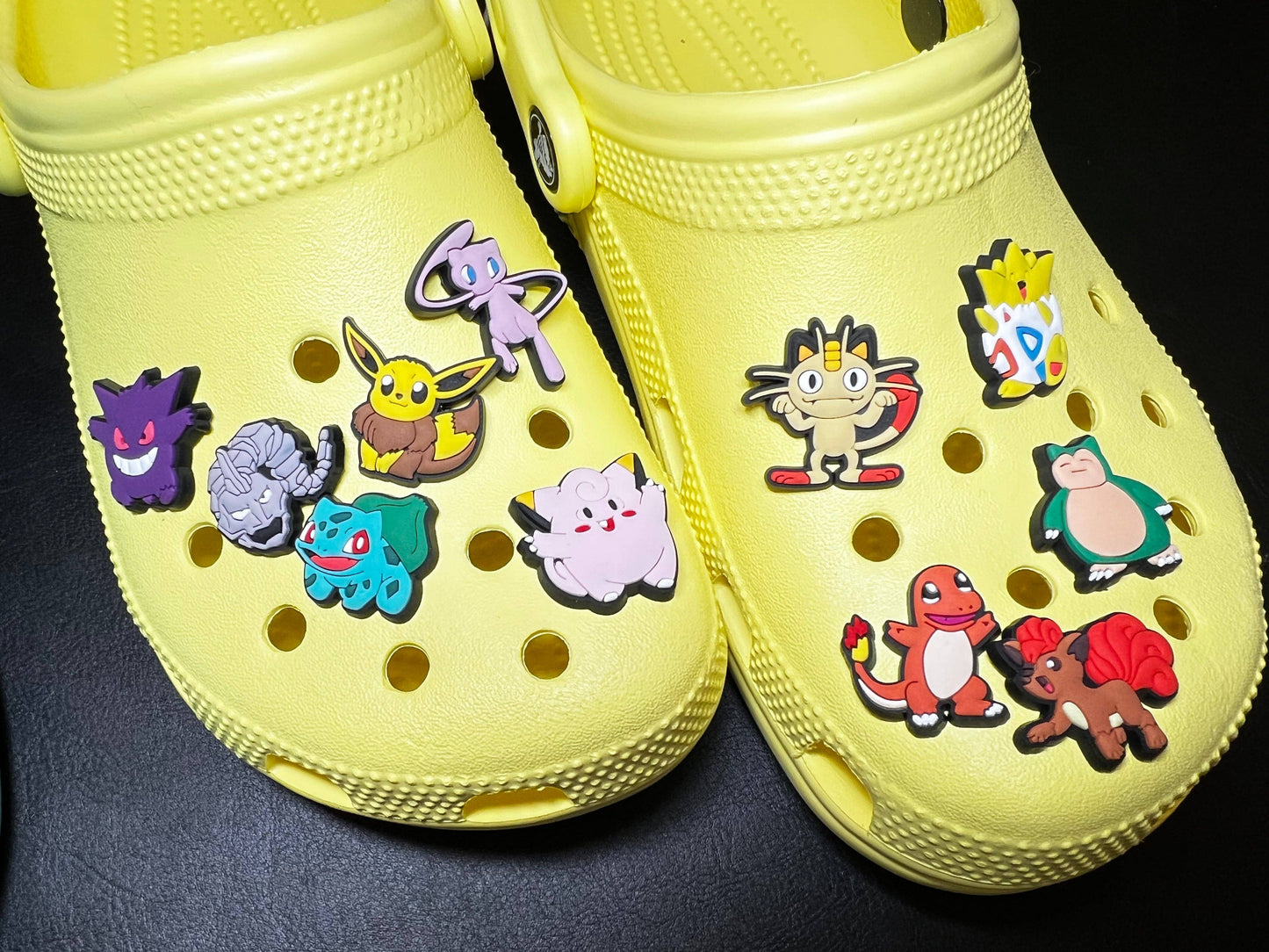 Pokemon Charms