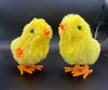Happy Chick